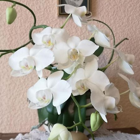 Dvinumajas Vintage B&B Балви Экстерьер фото