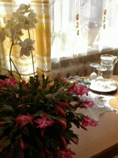 Dvinumajas Vintage B&B Балви Экстерьер фото