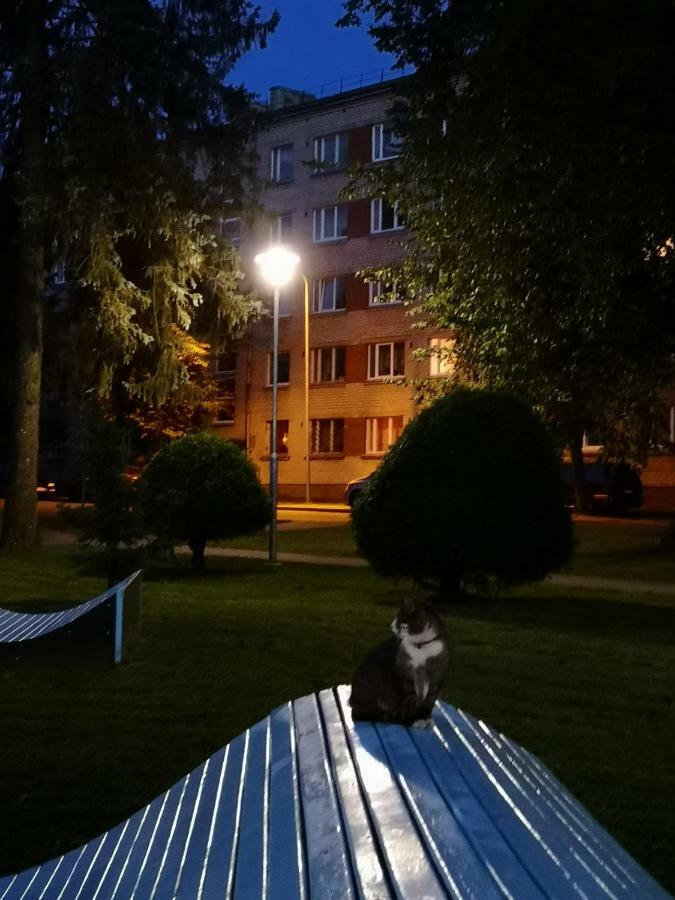 Dvinumajas Vintage B&B Балви Экстерьер фото